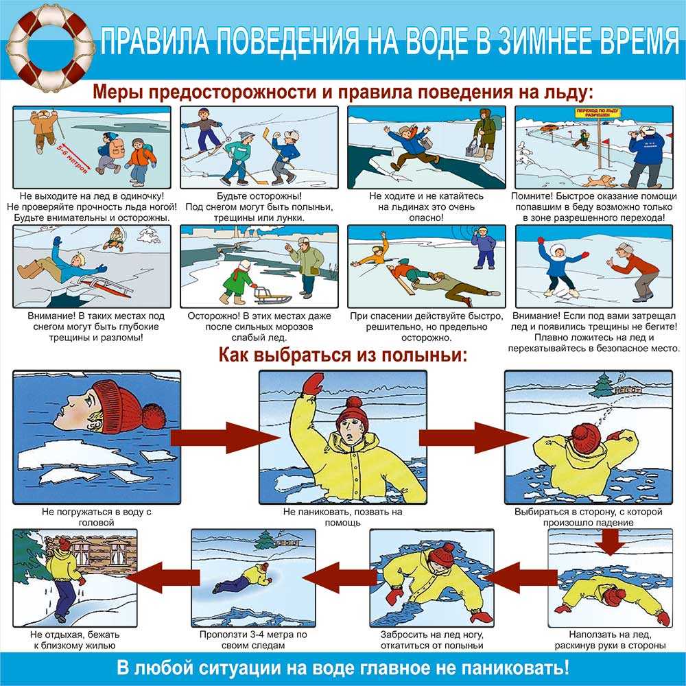 Государственное бюджетное дошкольное образовательное учреждение детский сад  № 62 Невского района Санкт-Петербурга - Новости